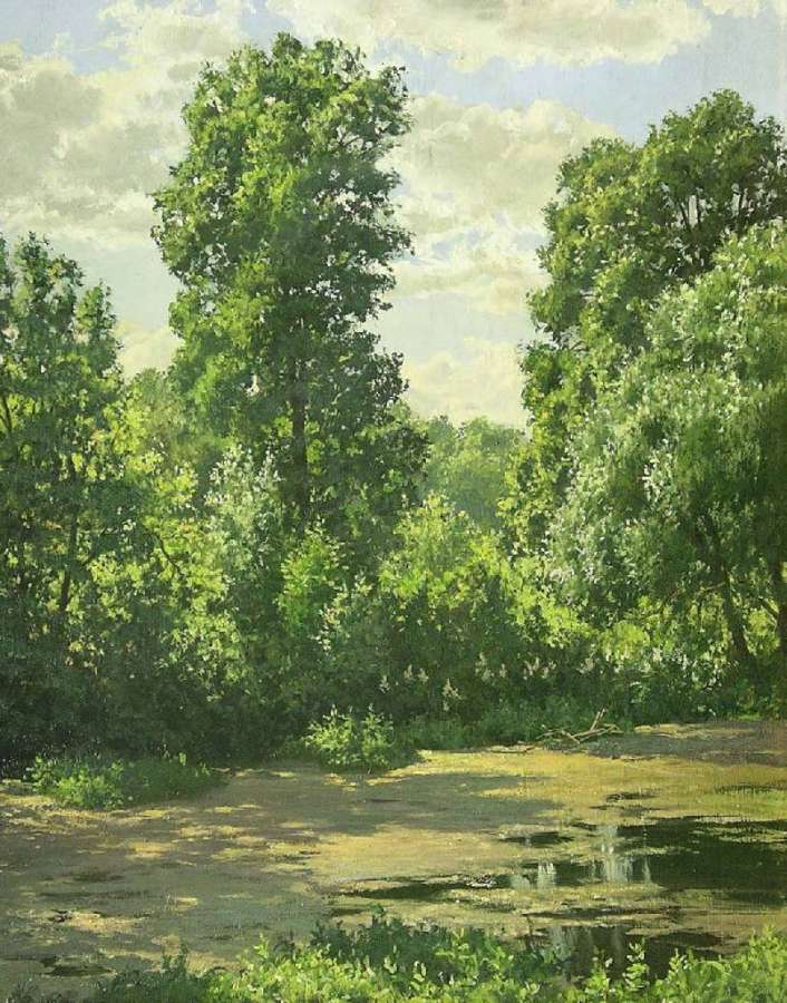 Лесное болото, 2005г. 40x50 - Герасимов Андрей Викторович