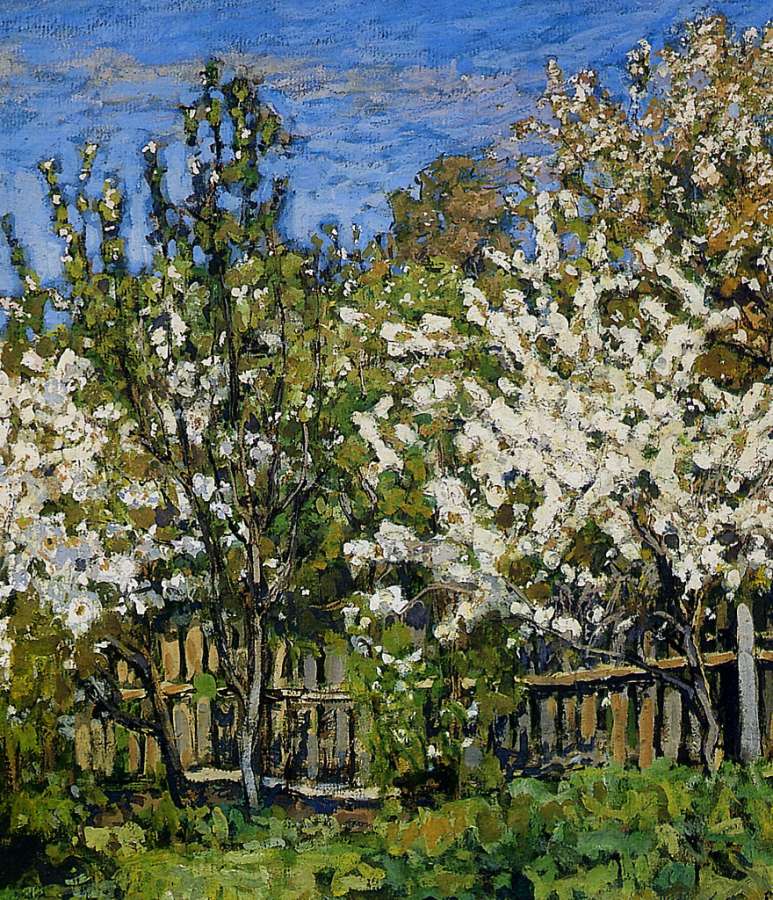 Petrovichev Pyotr Blossoming cherry trees Sun -   