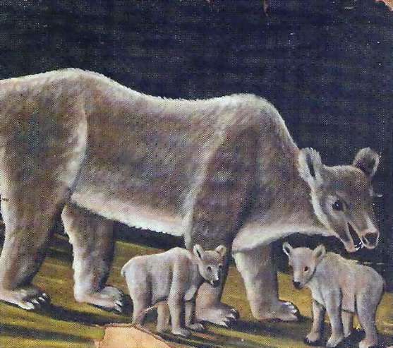Белая медведица с медвежатами. 1910-12 - Пиросманашвили Николай Асланович