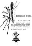 Силуэт. Типы из Записок охотника Тургенева 1883 Малиновая вода.2 - Бём (Эндаурова)