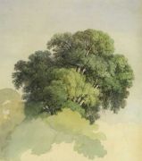 Кроны деревьев. 1867 - Васильев
