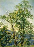 Оливковое дерево. Долина Ариччи. 1842  - Иванов