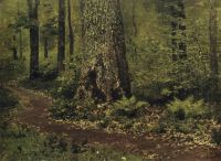 Тропинка в лиственном лесу. Папоротники. Около 1895 - Левитан