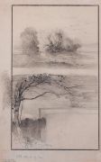 Деревья у воды. Ветви деревьев. 1870-е - Саврасов