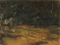 Заросший пруд. 1899 - Сомов