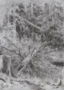 В лесу.Упавшее дерево 1878 32.3х23,4 - Шишкин