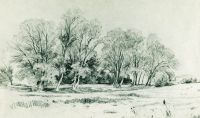 Деревья в поле.Братцево 1866 26,5х42,8 - Шишкин