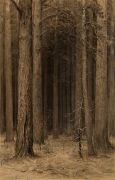 Паутина в лесу 1880-е 44,8х30,5 - Шишкин