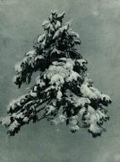Сосна под снегом 1890 20,5х15,5 - Шишкин