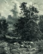 Стадо овец на опушке леса 1860-е 38,3х29,5 - Шишкин