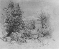 Рисунок деревьев. 1893 - Богаевский