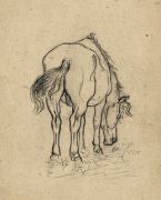 1915-17 Лошадь. Б., к. ЧС. М. - Дейнека