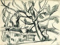 1921 Дерево в Абрамцево. Б., карандаш 34.5х45 - Кончаловский