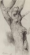Ствол старого дерева. 1883 - Левитан