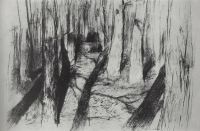 Стволы деревьев. 1890-е - Левитан