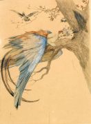 Царевна - птица - Соломко