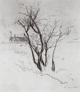 Дерево в поле. 1897 - Сомов