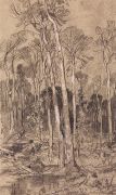 Весной в лесу. 1880-е 26х17,6 - Шишкин