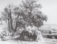 Дуб на берегу Финского залива. 1857 23,8х30,7 - Шишкин