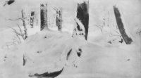 Лес под снегом 1890-е.Бумагацв.,уголь,мел 24,1х45,8 - Шишкин