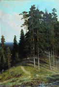 Лес с горы. 1895 106,4х73 - Шишкин