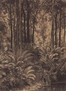 Папоротники в лесу. 1877 28,4х21 - Шишкин