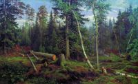 Рубка леса 1867 122х194 - Шишкин