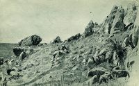 Скалы на берегу моря.Гурзуф  1879 28,8х45.8 - Шишкин