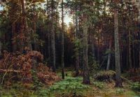 Сосновый лес 1885 113,5х161 - Шишкин
