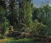 Срубленное дерево 1875 50х59,5 - Шишкин